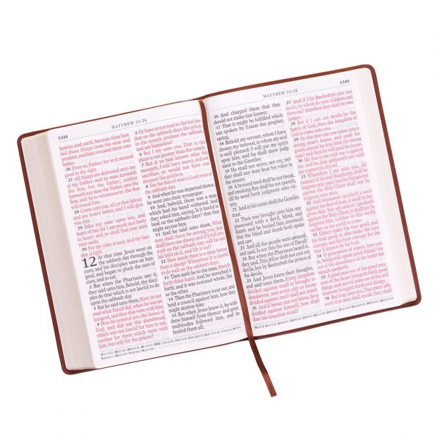 KJV Holy Bible - Image 3